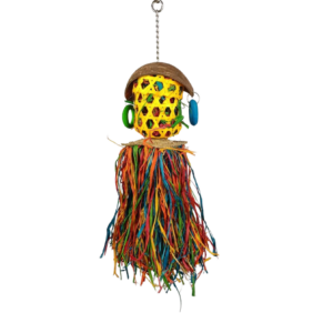 Papegaaien speelgoed