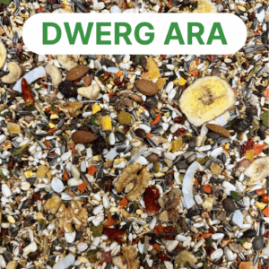 World of parrots Dwerg ara mengeling