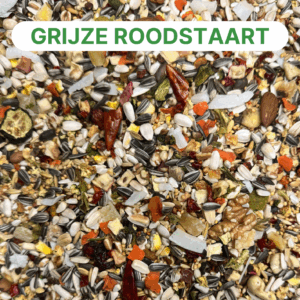 World of parrots grijze roodstaart mengeling