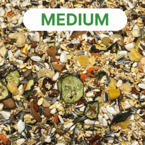 World of parrots medium parrot mengeling